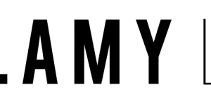 Lush Chocolate Covered Strawberry Box · Dipped Strawberries