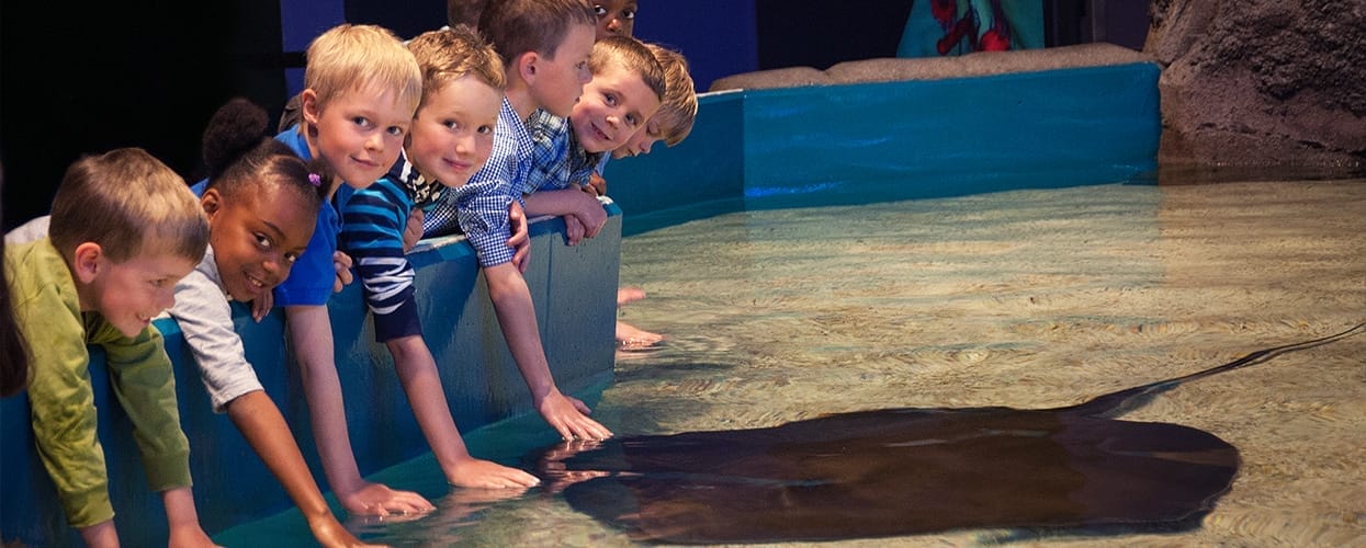 Ripley's Aquarium of Canada