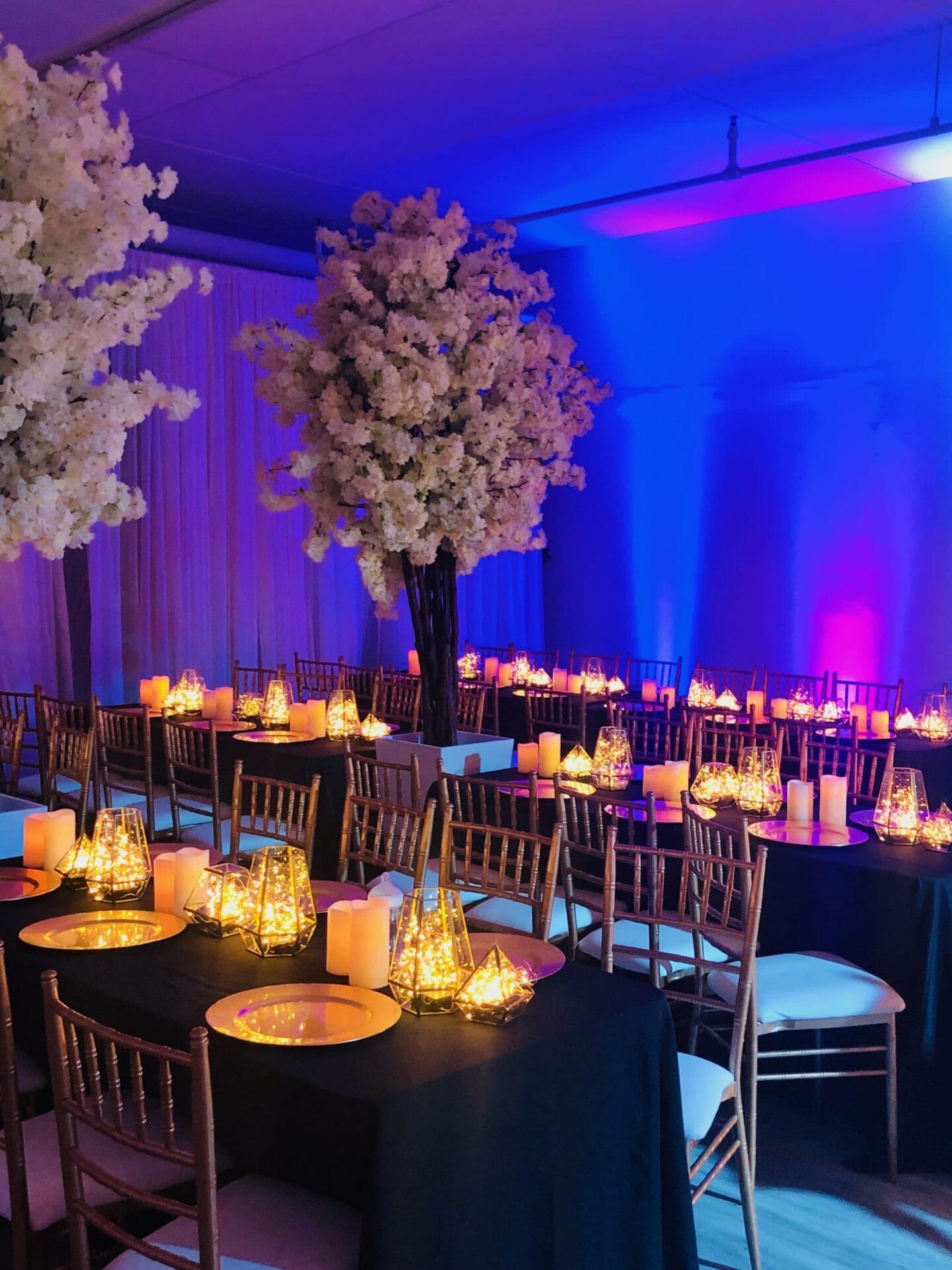 Intimate Wedding Coordinators in Toronto